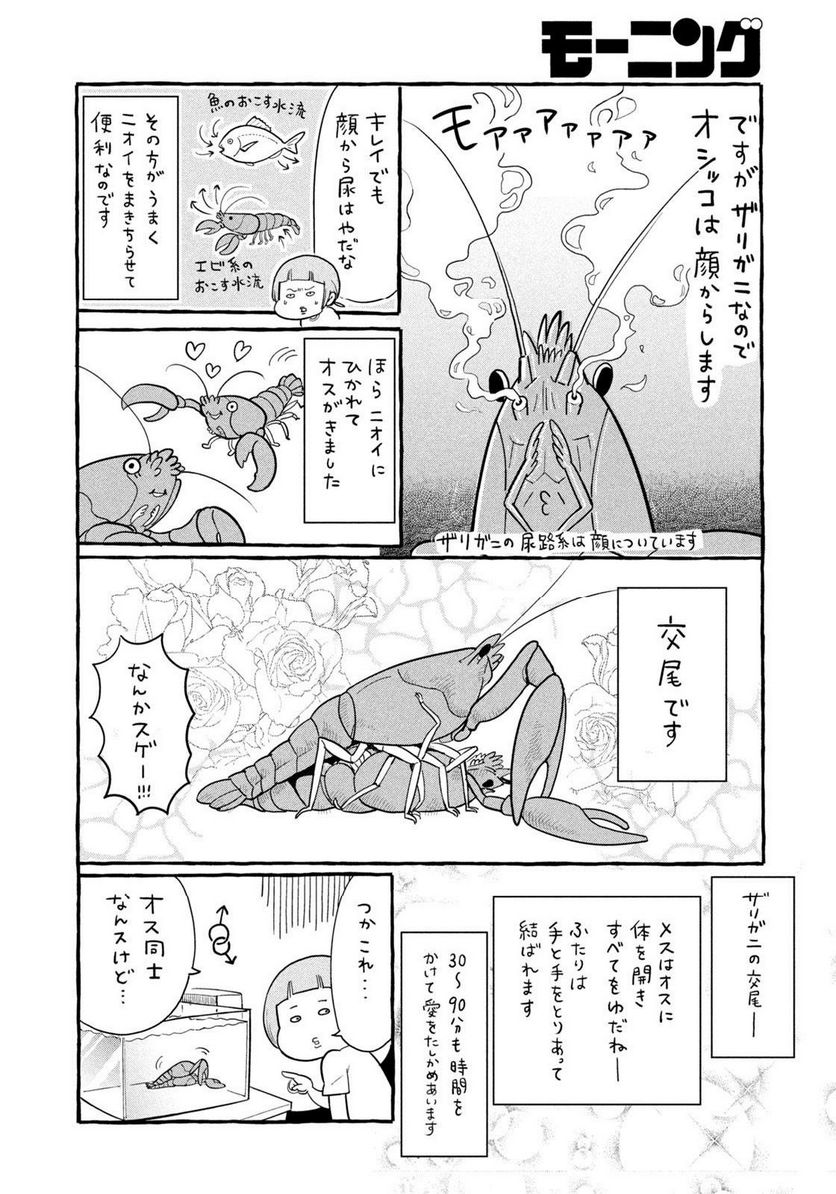 いきものがたり - 第39話 - Page 2