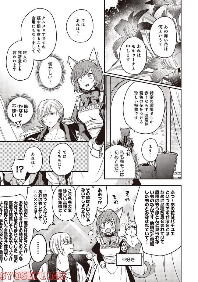 猫耳メイドと少年王子　暗殺ターゲットの王子様に恋をしました 第11.2話 - Trang 7