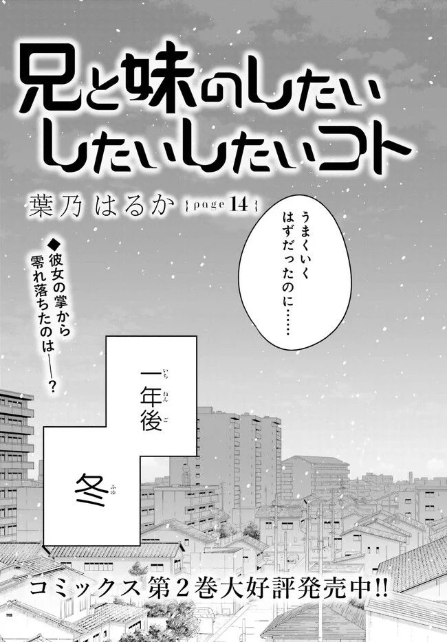 兄と妹のしたいしたいしたいコト 第14.1話 - Trang 3