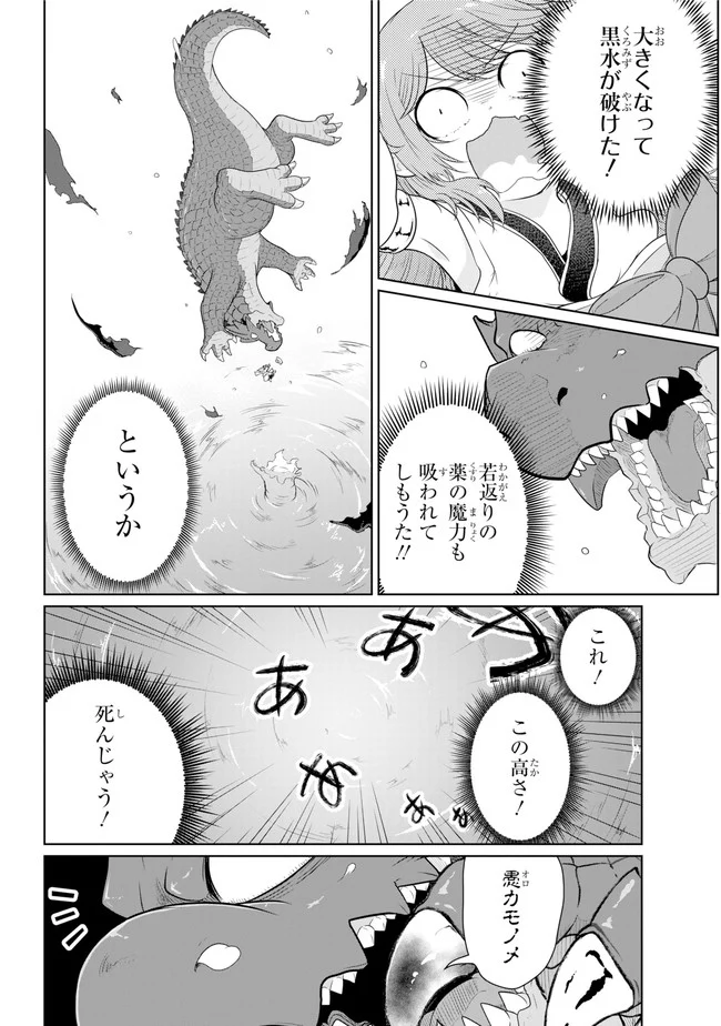 齢5000年の草食ドラゴン、いわれなき邪竜認定 ～やだこの生贄、人の話を聞いてくれない～ 第9.1話 - Trang 15