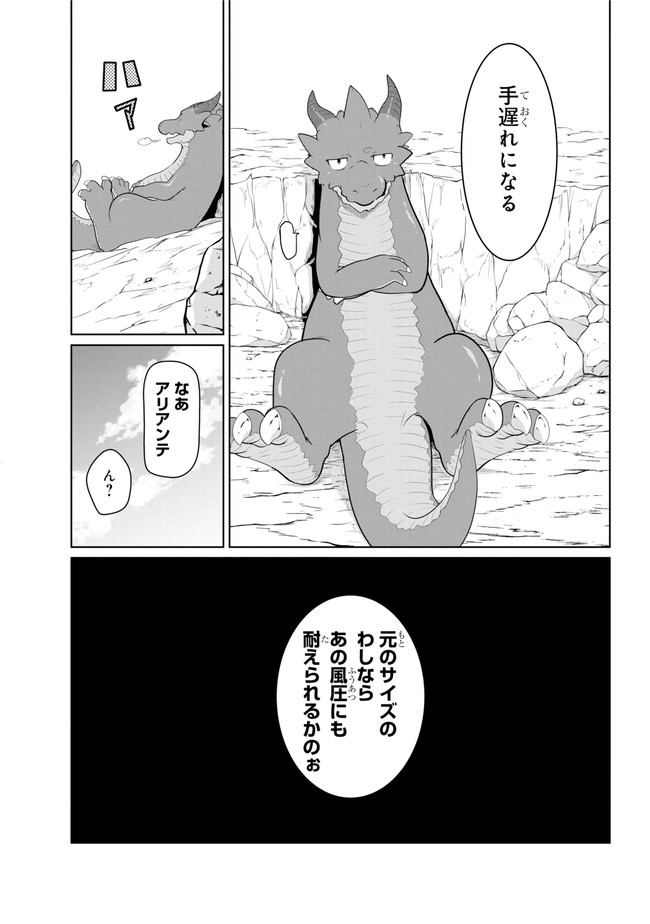 齢5000年の草食ドラゴン、いわれなき邪竜認定 ～やだこの生贄、人の話を聞いてくれない～ 第13.1話 - Trang 19