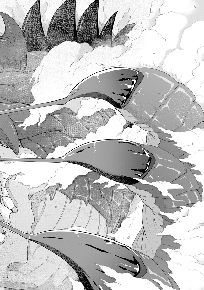 齢5000年の草食ドラゴン、いわれなき邪竜認定 ～やだこの生贄、人の話を聞いてくれない～ 第13.2話 - Trang 14