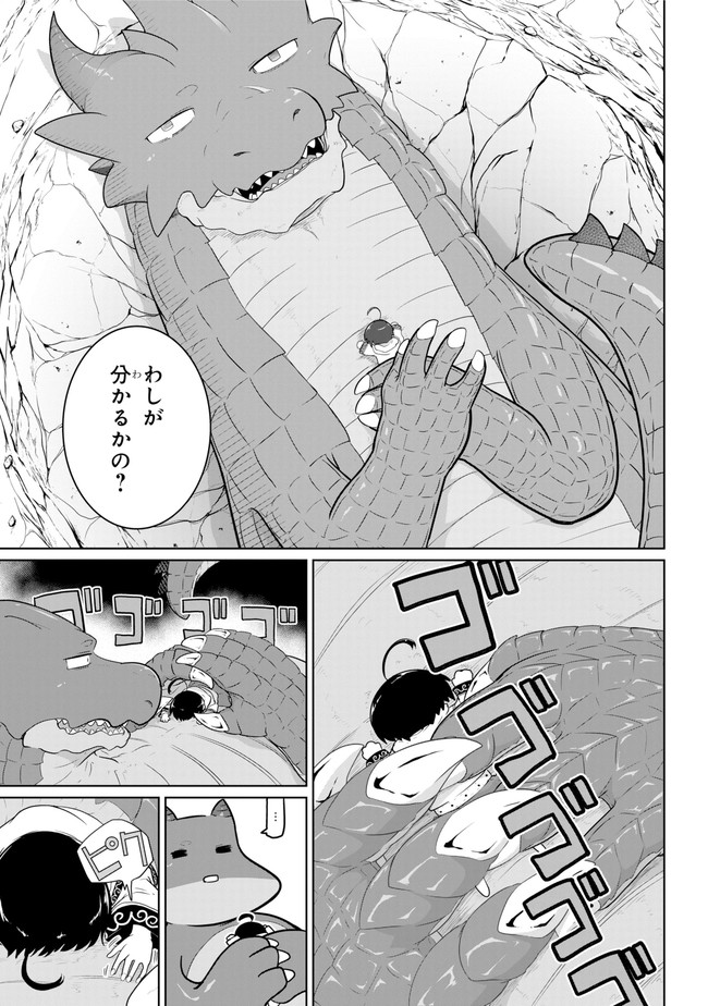齢5000年の草食ドラゴン、いわれなき邪竜認定 ～やだこの生贄、人の話を聞いてくれない～ 第13.2話 - Trang 19