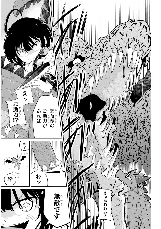 齢5000年の草食ドラゴン、いわれなき邪竜認定 ～やだこの生贄、人の話を聞いてくれない～ 第14.2話 - Trang 12