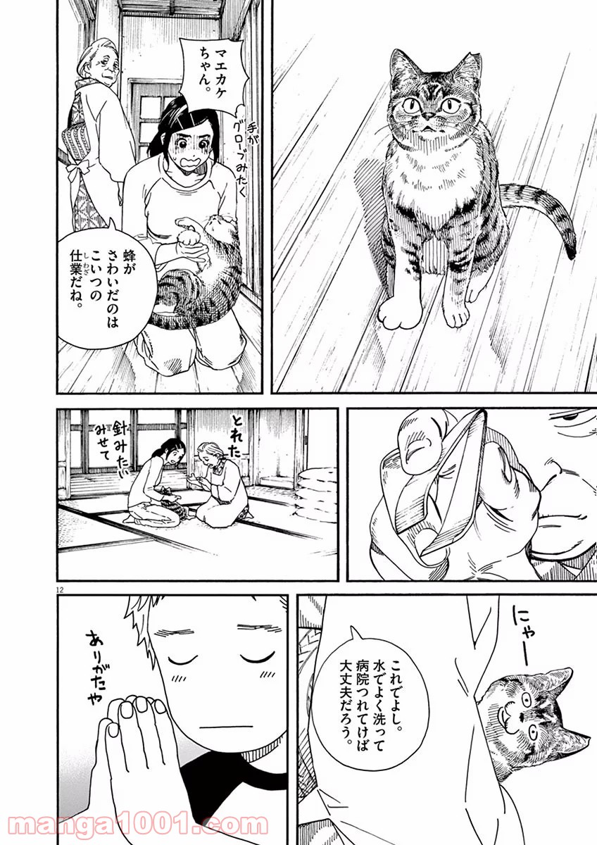 猫のお寺の知恩さん - 第9話 - Page 12