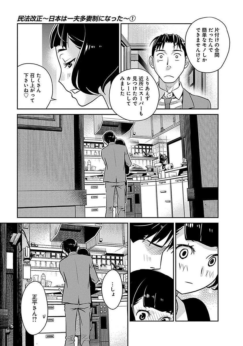 民法改正～日本は一夫多妻制になった～ - 第6話 - Page 19