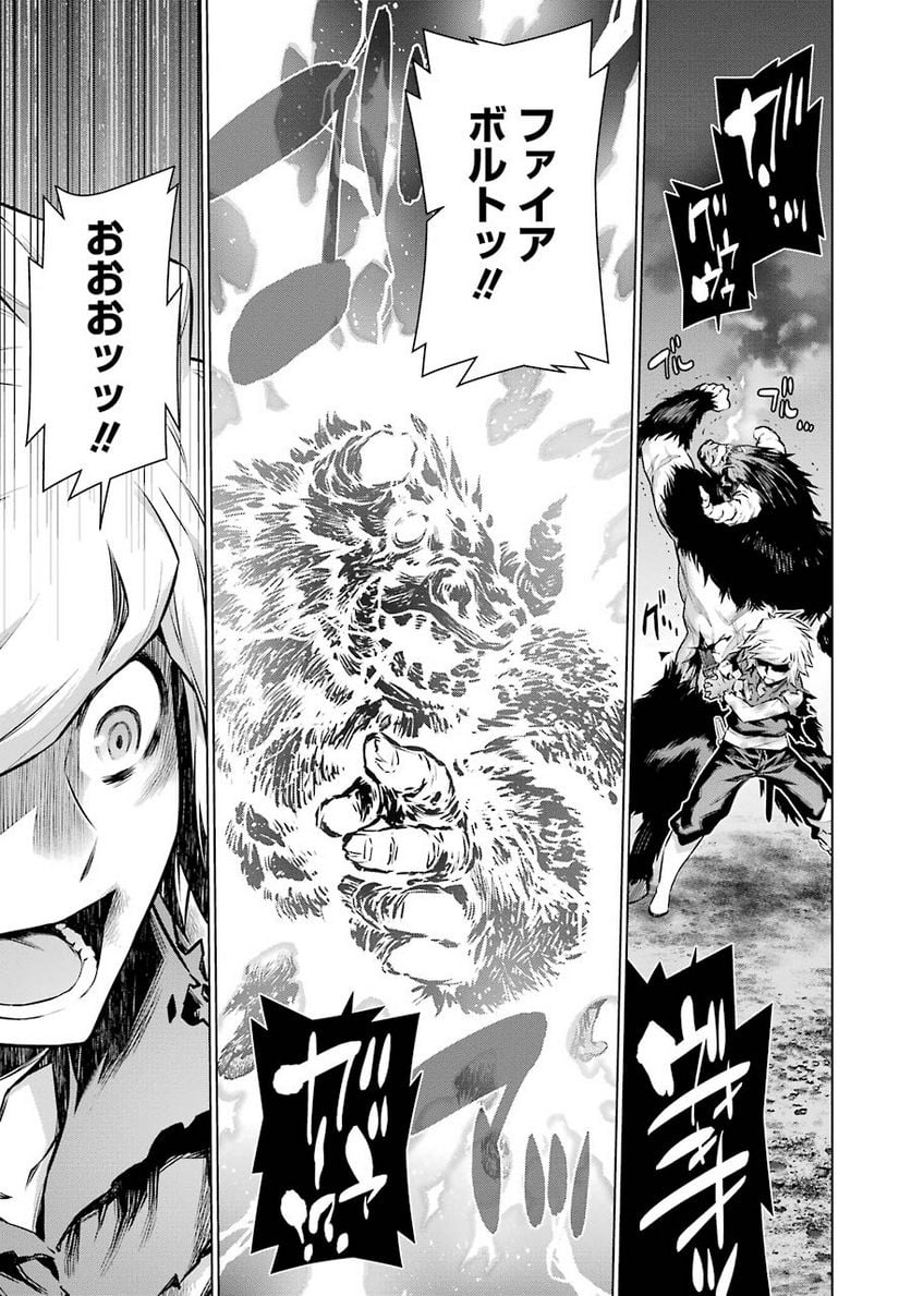 ダンジョンに出会いを求めるのは間違っているだろうか 第45話 - Trang 17