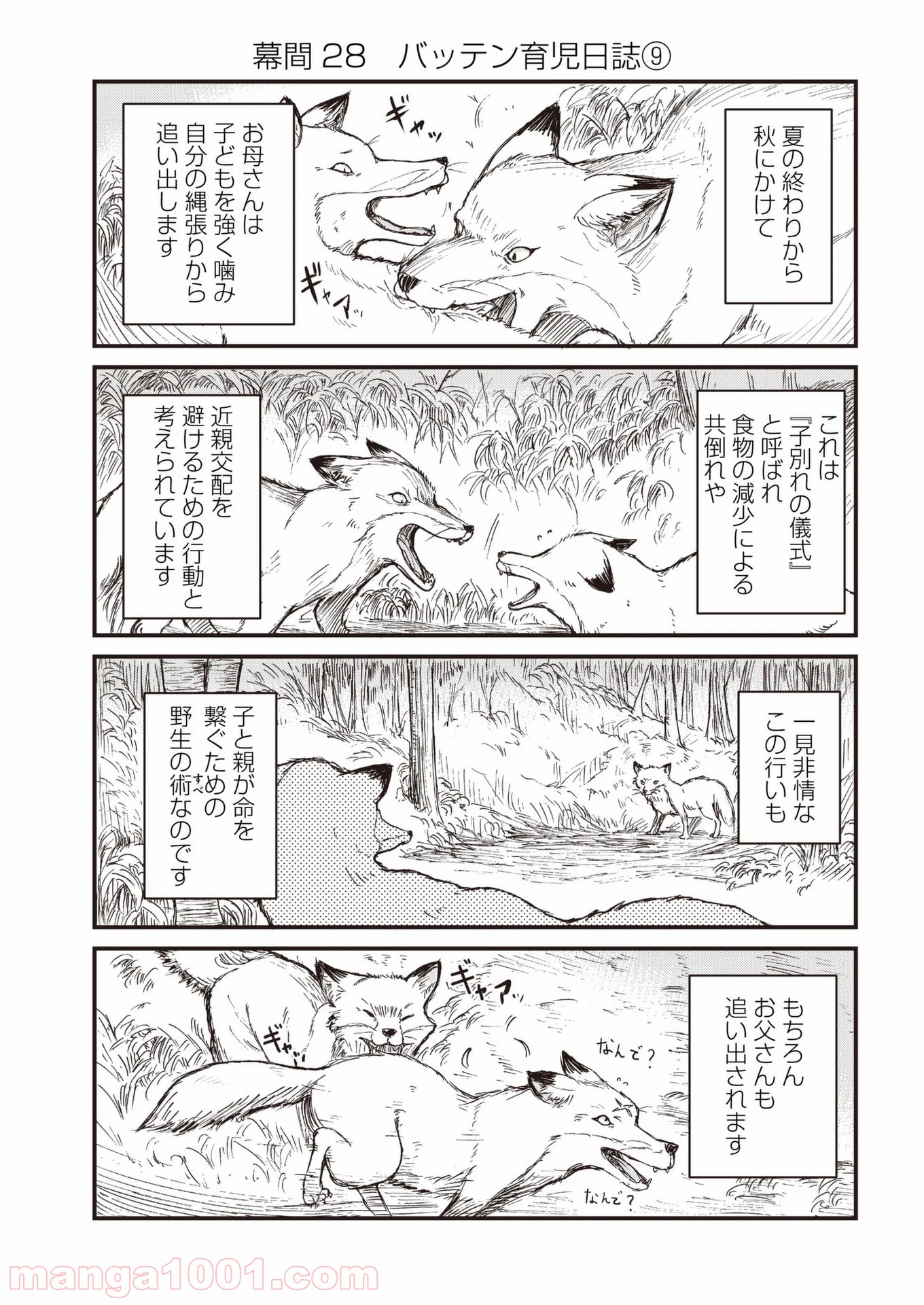 狐のお嫁ちゃん - 第39話 - Page 25