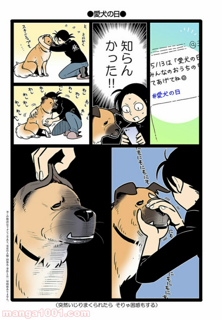 うちの雑種犬ゴンさんがダサかわいい - 第6話 - Page 1