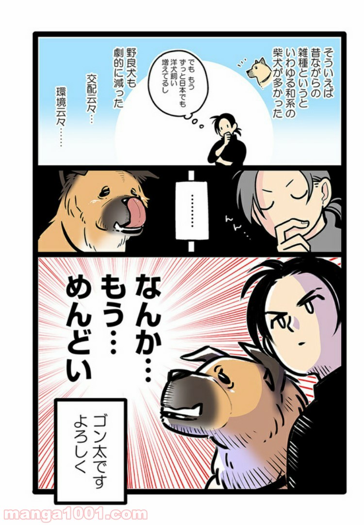 うちの雑種犬ゴンさんがダサかわいい - 第6話 - Page 4