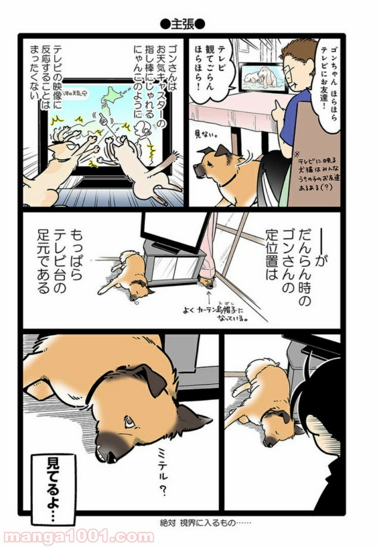 うちの雑種犬ゴンさんがダサかわいい - 第6話 - Page 5