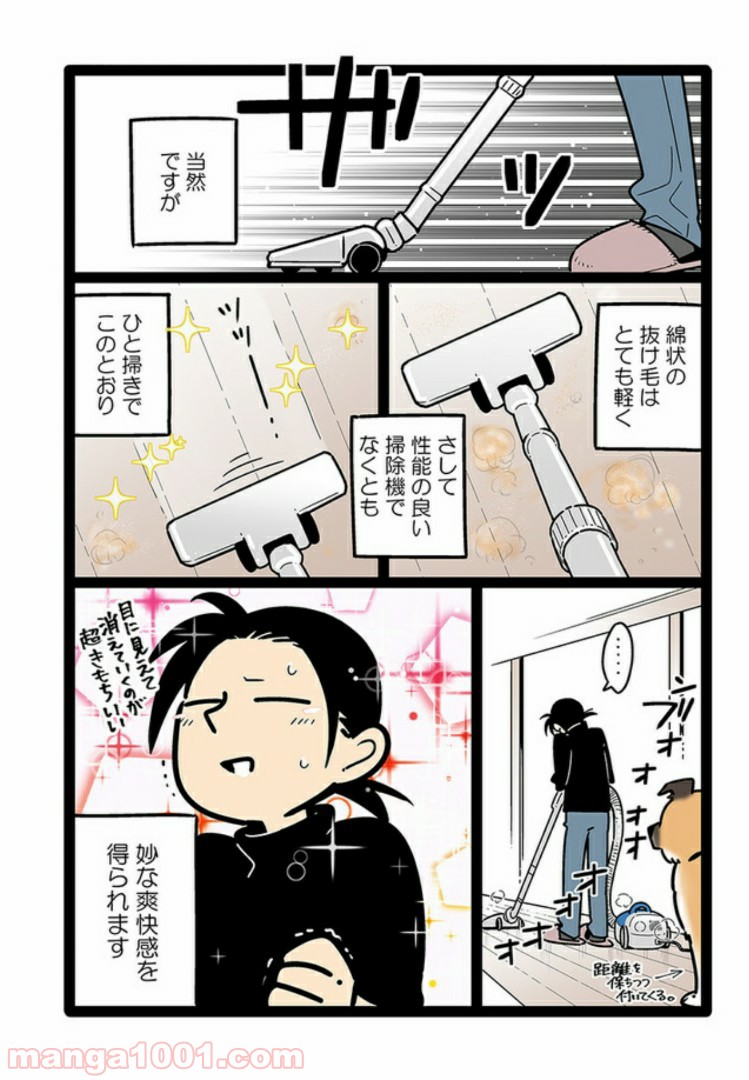 うちの雑種犬ゴンさんがダサかわいい - 第8話 - Page 2