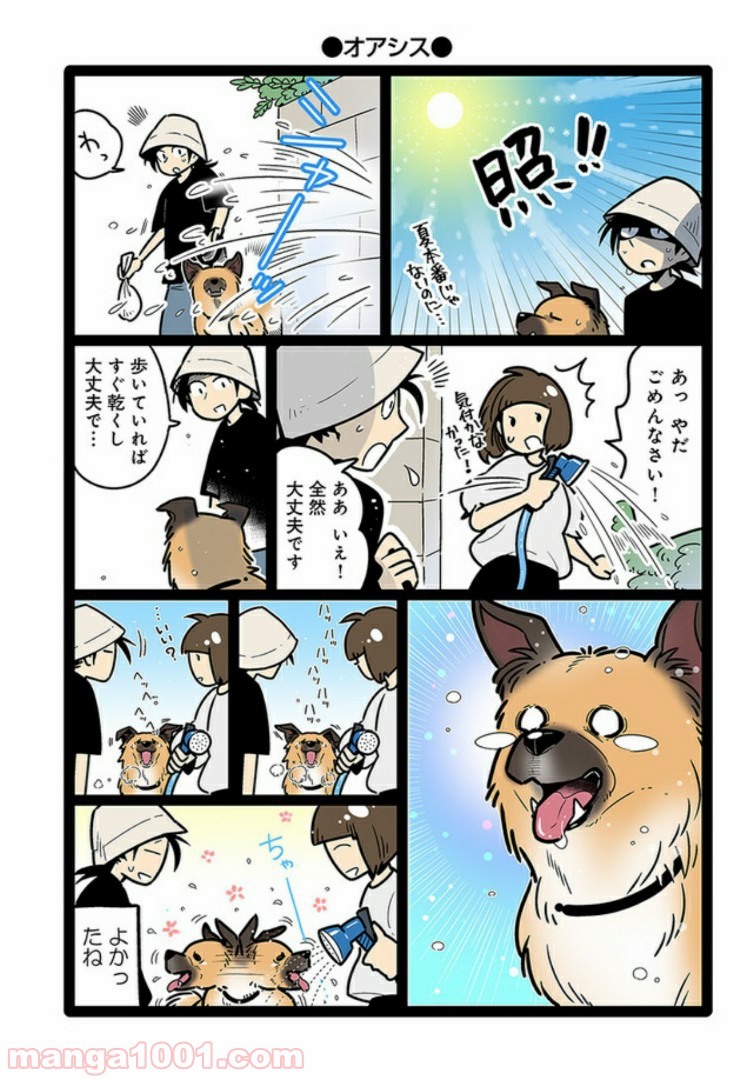 うちの雑種犬ゴンさんがダサかわいい - 第8話 - Page 4