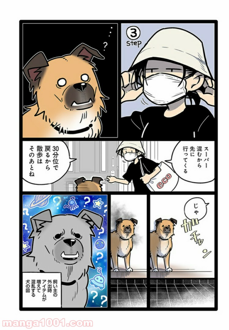 うちの雑種犬ゴンさんがダサかわいい - 第8話 - Page 6