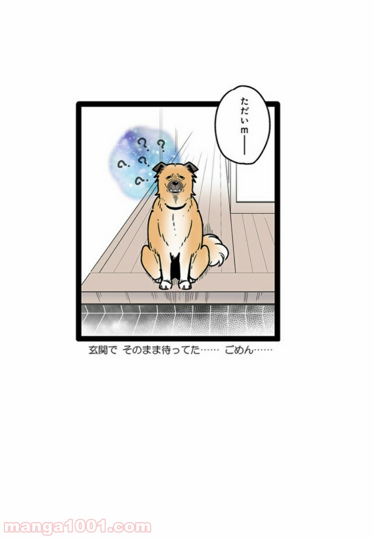 うちの雑種犬ゴンさんがダサかわいい - 第8話 - Page 7