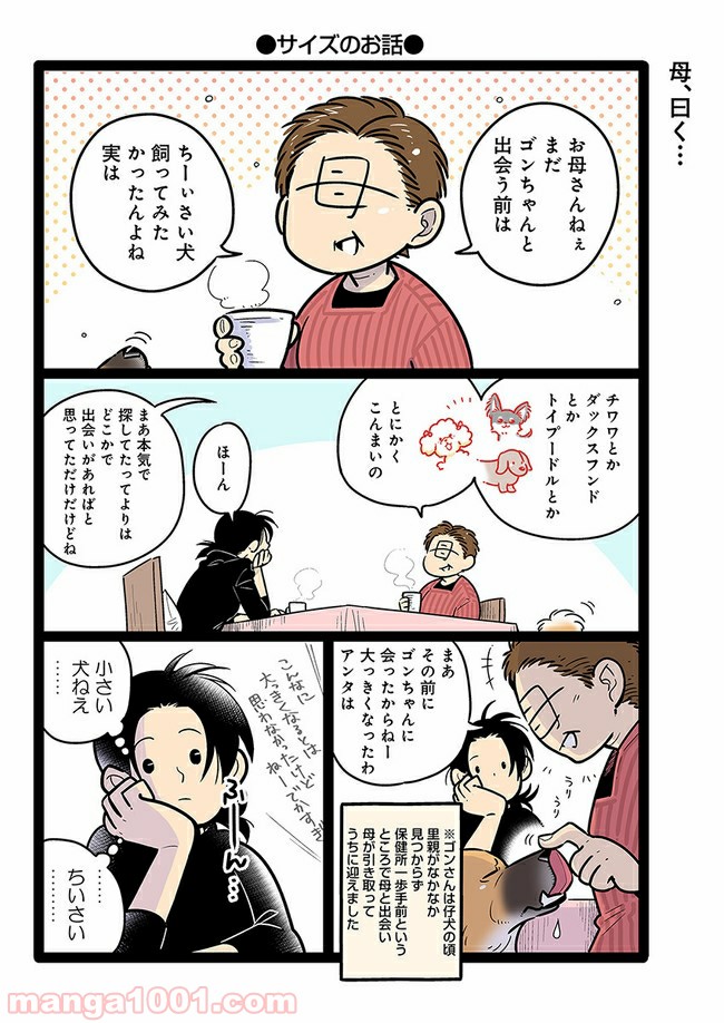 うちの雑種犬ゴンさんがダサかわいい - 第13話 - Page 1