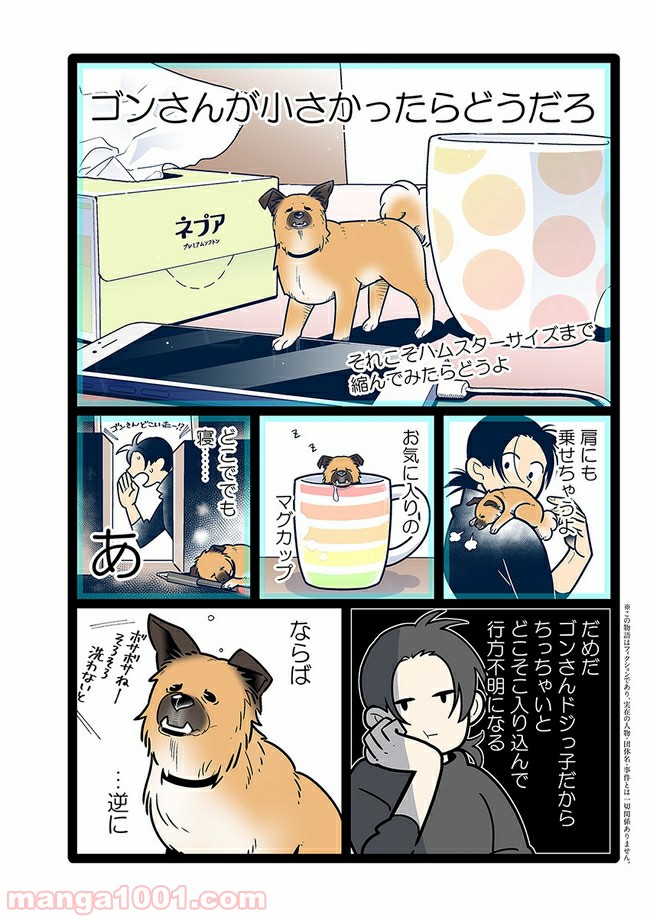 うちの雑種犬ゴンさんがダサかわいい - 第13話 - Page 2