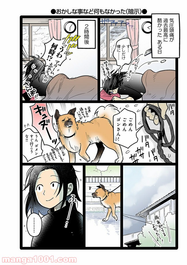 うちの雑種犬ゴンさんがダサかわいい - 第13話 - Page 4