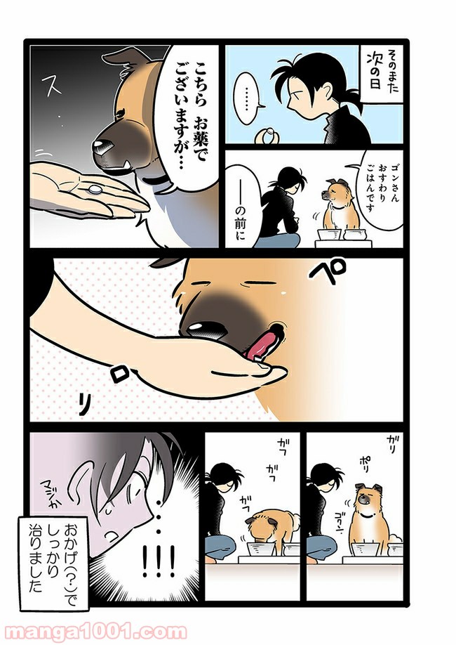 うちの雑種犬ゴンさんがダサかわいい - 第15話 - Page 2