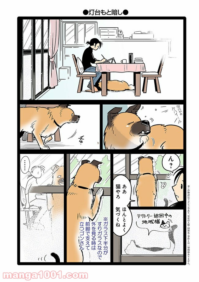 うちの雑種犬ゴンさんがダサかわいい - 第17話 - Page 1