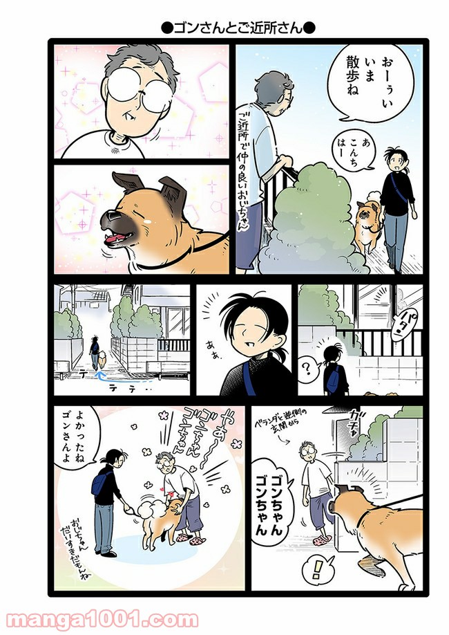 うちの雑種犬ゴンさんがダサかわいい - 第17話 - Page 3