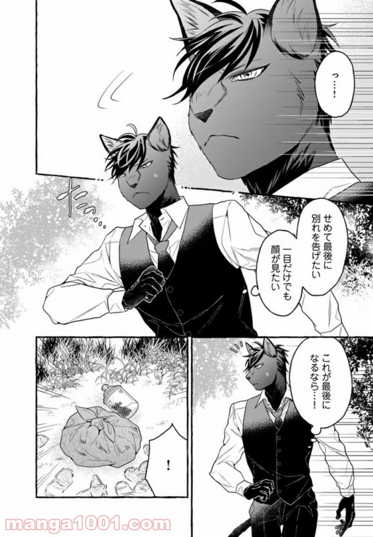 僕の番は猫紳士 第4.1話 - Trang 4