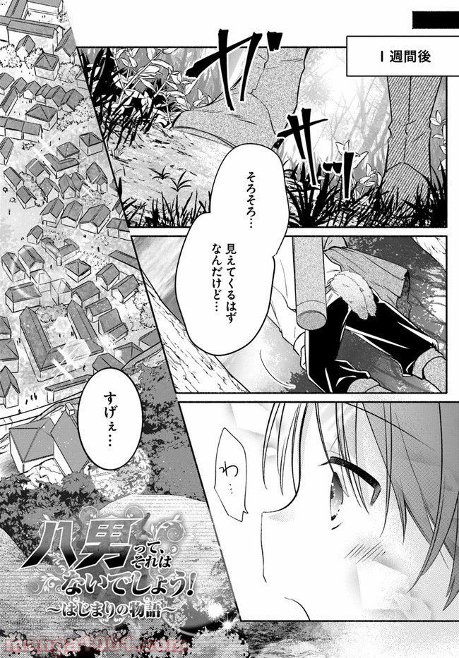 八男って、それはないでしょう！ ～はじまりの物語～ - 第6.5話 - Page 1