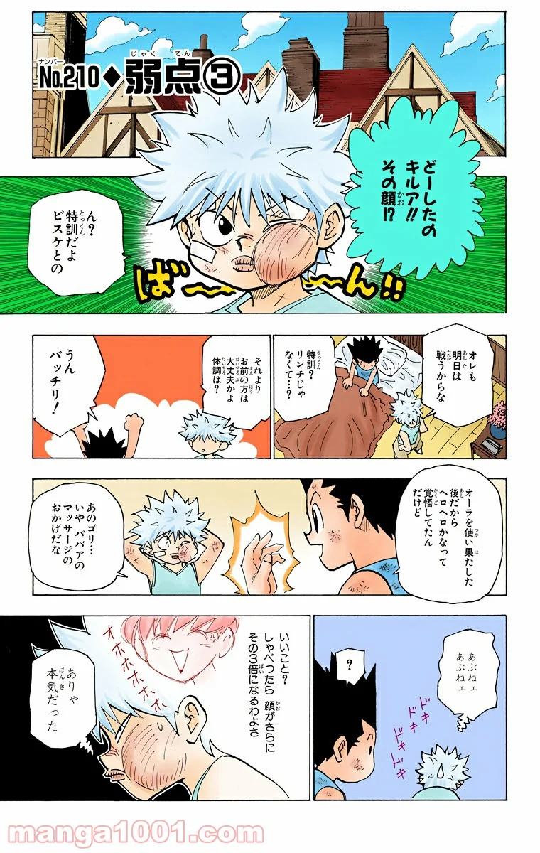 HUNTER X HUNTER - 第210話 - Page 1