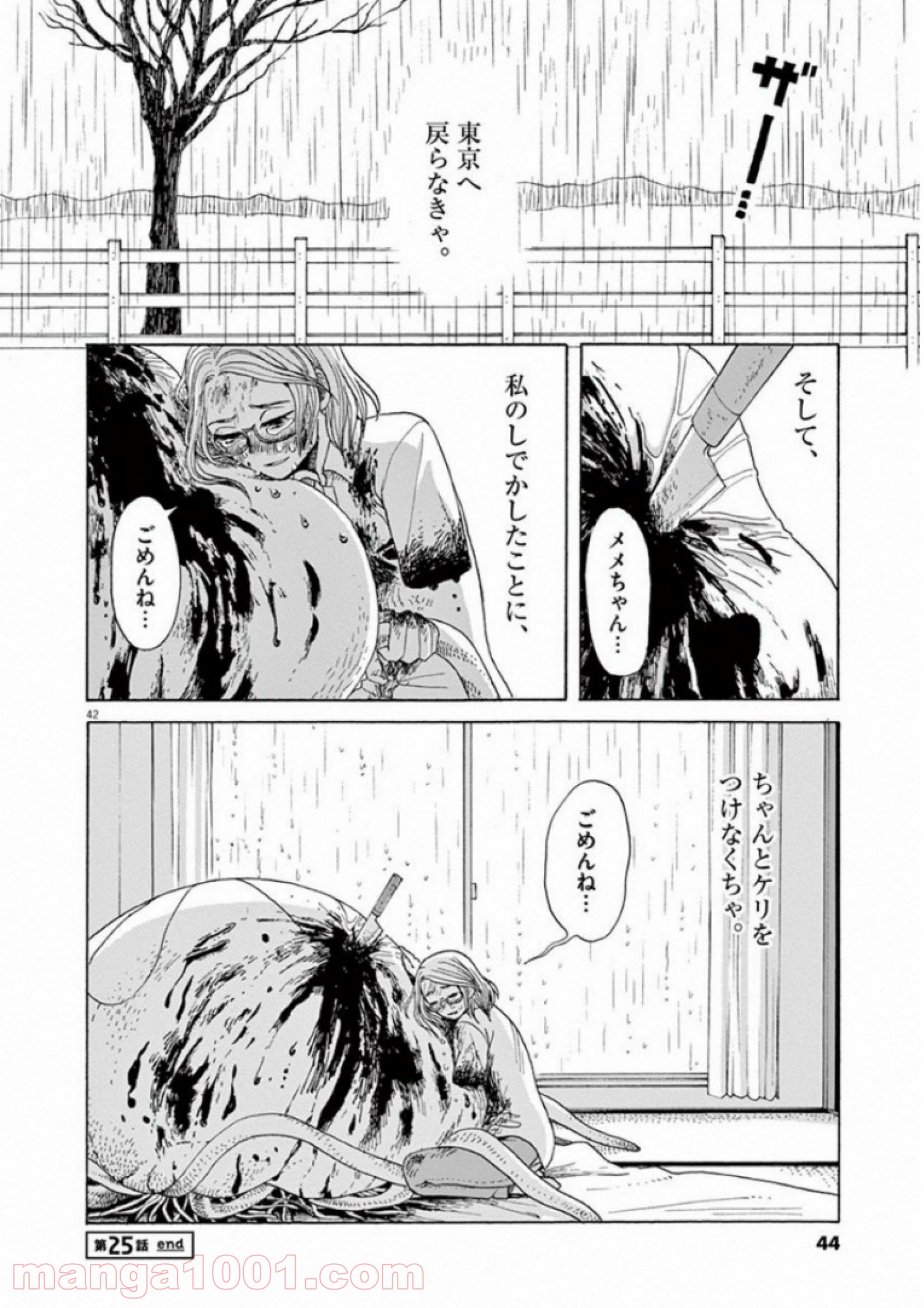 あげくの果てのカノン - 第25話 - Page 42