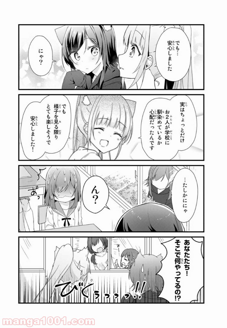 看板にゃん娘は今日もかわいい - 第19話 - Page 2