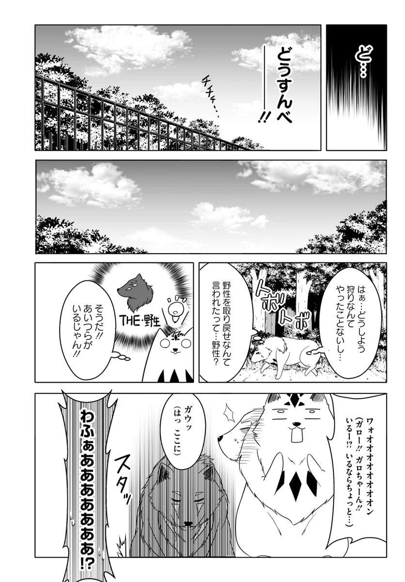 ワンワン物語 ～金持ちの犬にしてとは言ったが、フェンリルにしろとは言ってねえ！～ - 第6話 - Page 6