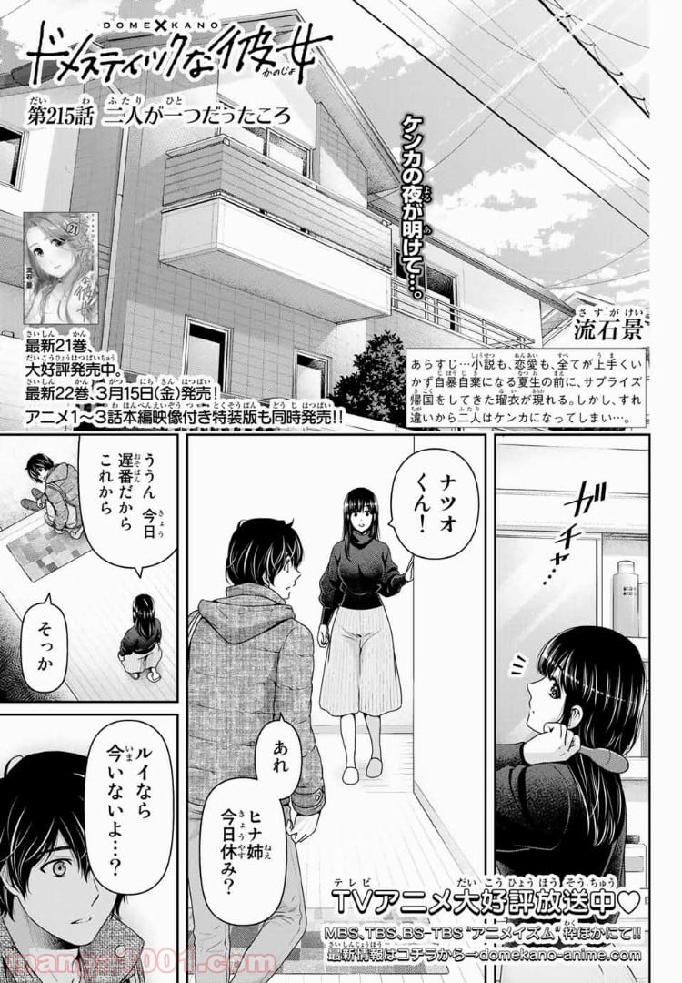 ドメスティックな彼女 - 第215話 - Page 1