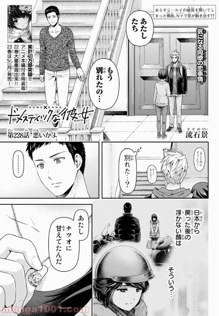 ドメスティックな彼女 - 第228話 - Page 1