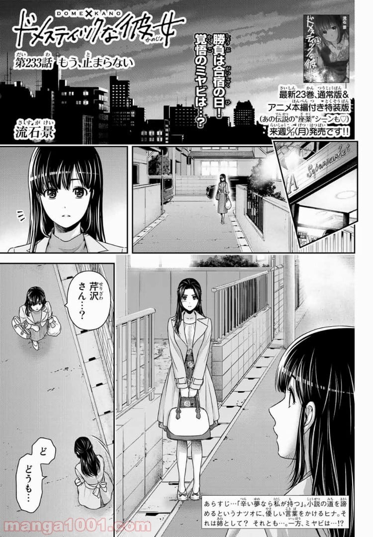 ドメスティックな彼女 - 第233話 - Page 1