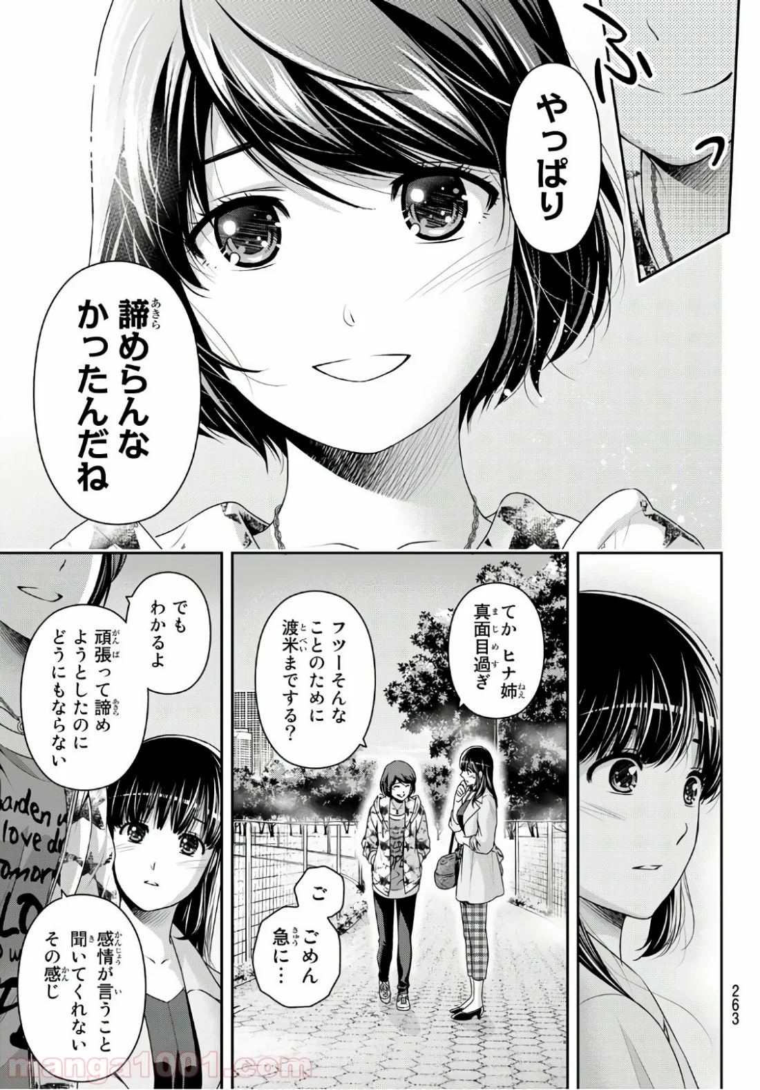 ドメスティックな彼女 - 第245話 - Page 3