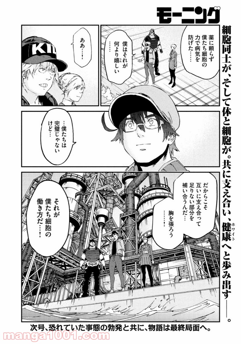 はたらく細胞BLACK - 第46話 - Page 21