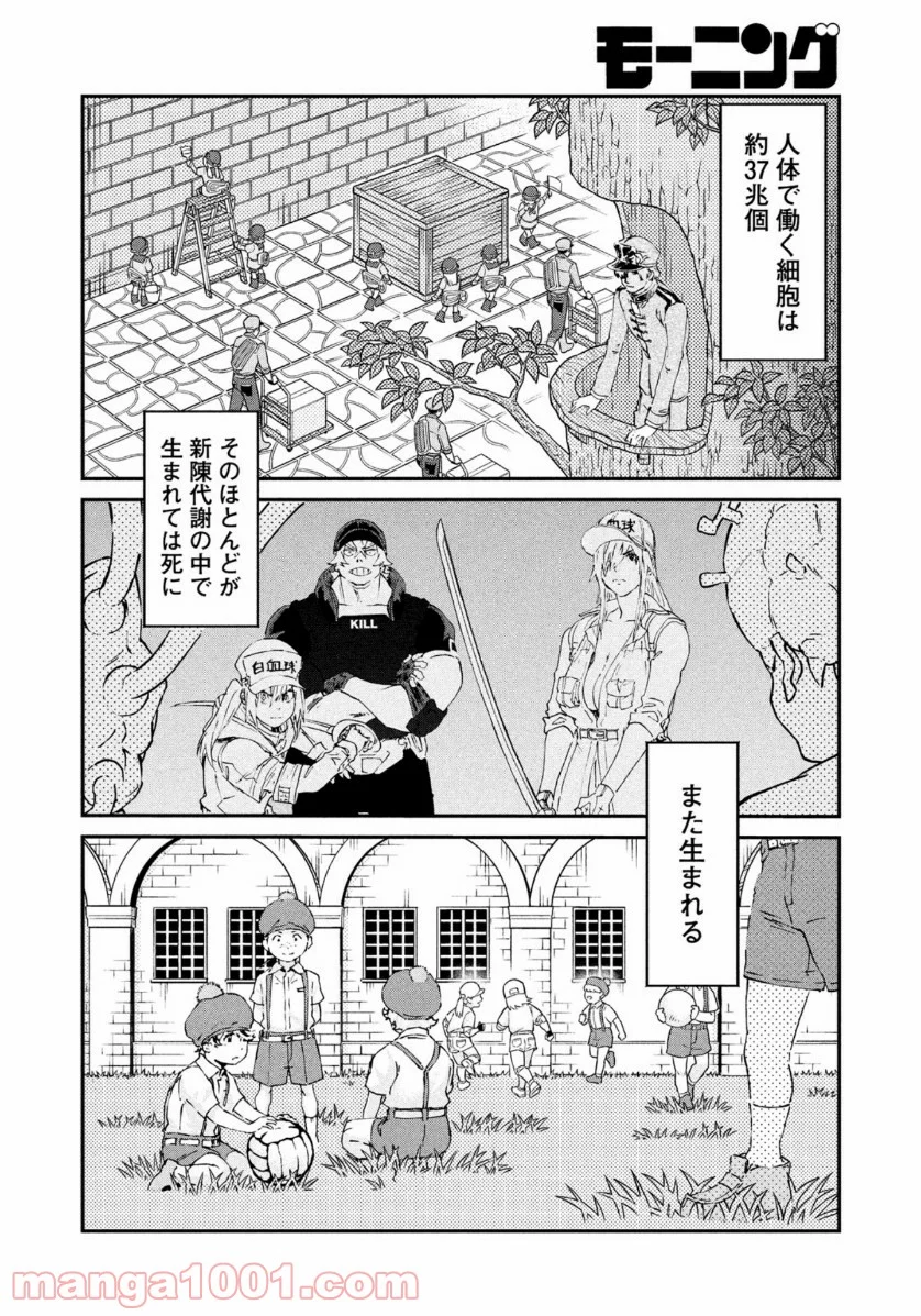 はたらく細胞BLACK - 第48話 - Page 22