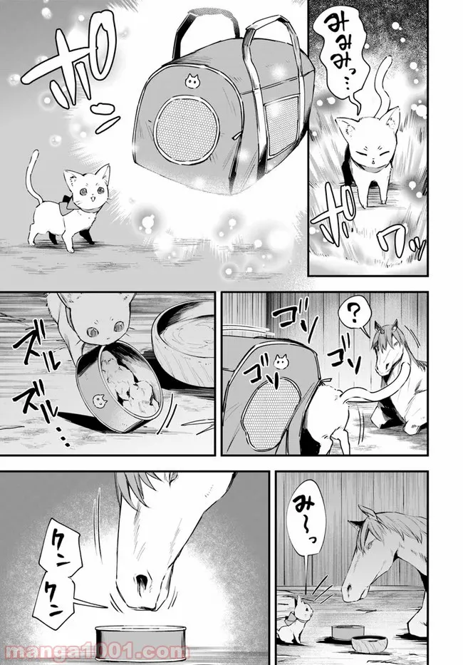 神猫ミーちゃんと猫用品召喚師の異世界奮闘記 - 第12話 - Page 13