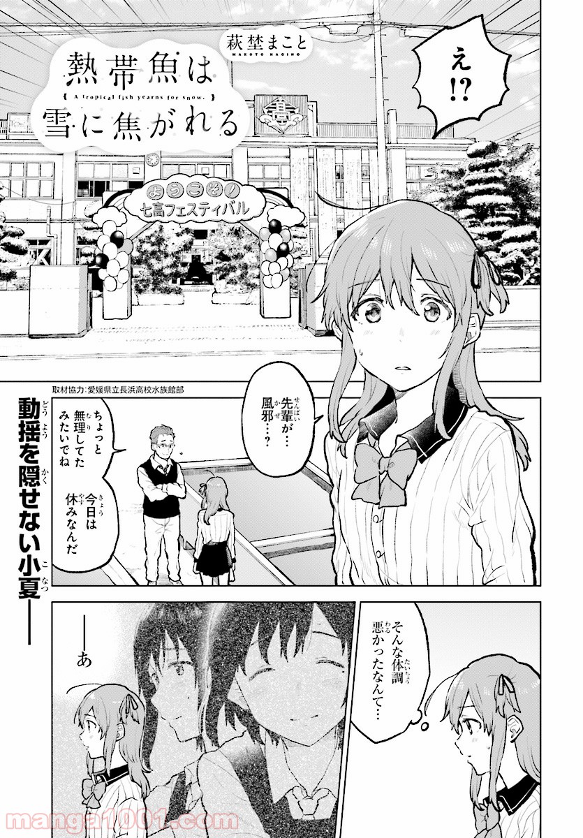 熱帯魚は雪に焦がれる - 第13話 - Page 1