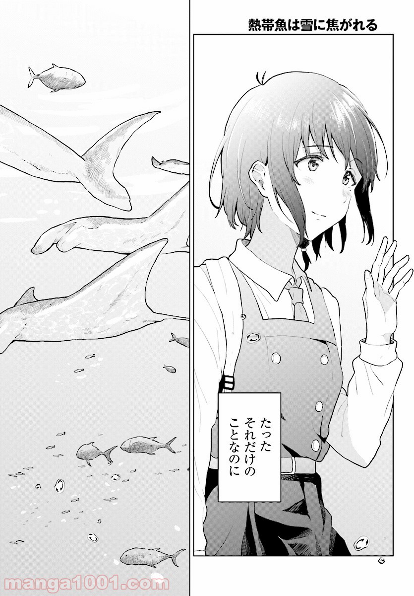 熱帯魚は雪に焦がれる - 第15話 - Page 34