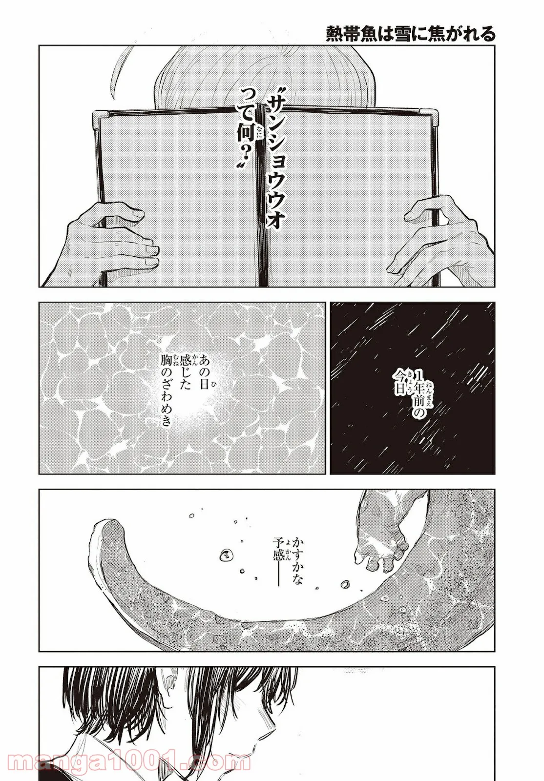 熱帯魚は雪に焦がれる - 第32話 - Page 34