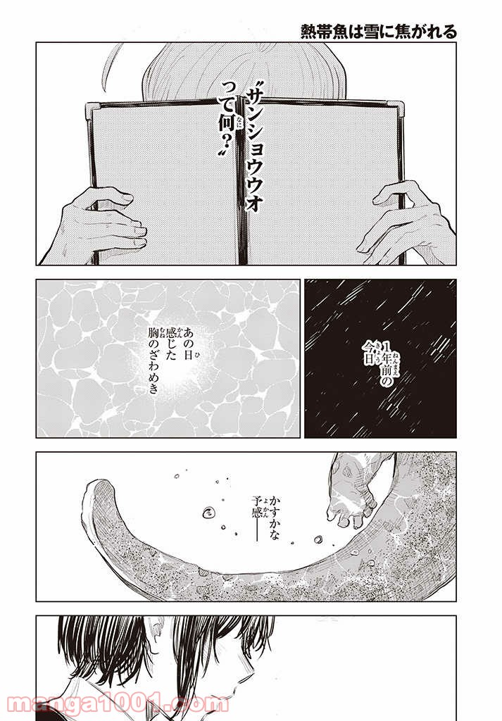 熱帯魚は雪に焦がれる - 第35話 - Page 34