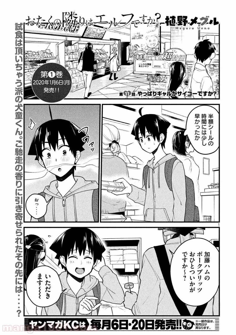 おたくの隣りはエルフですか？ - 第11話 - Page 1