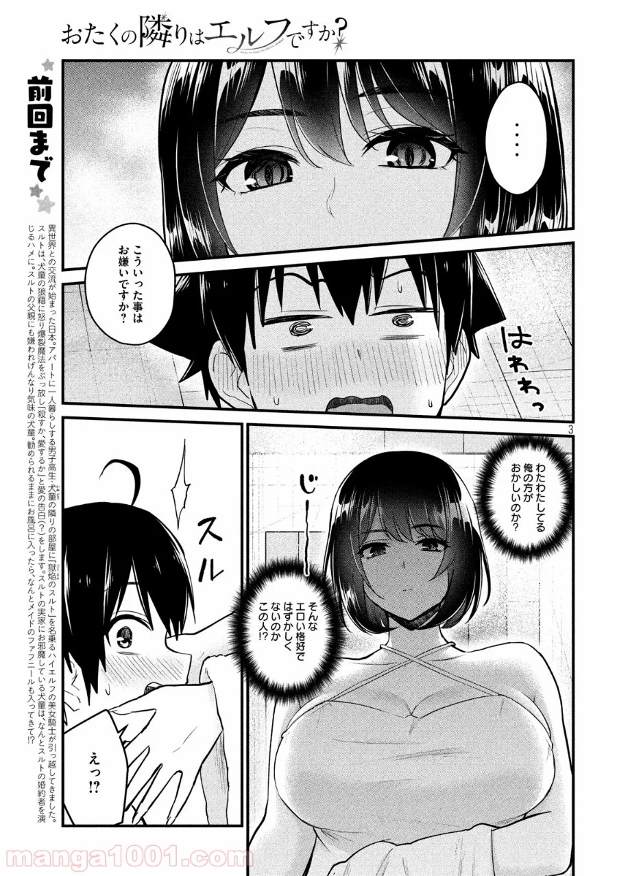 おたくの隣りはエルフですか？ - 第18話 - Page 3