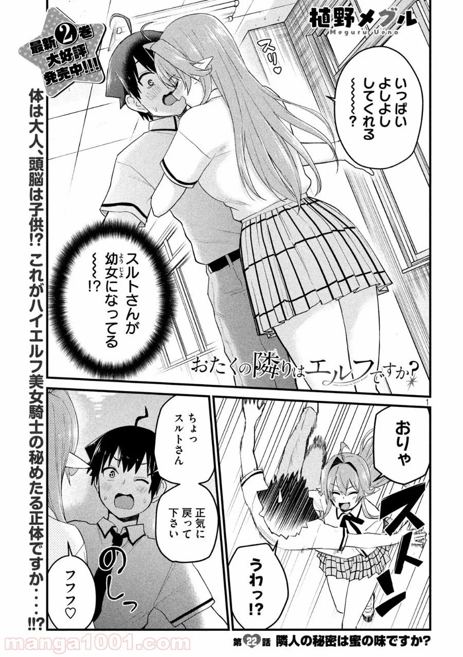 おたくの隣りはエルフですか？ - 第22話 - Page 1