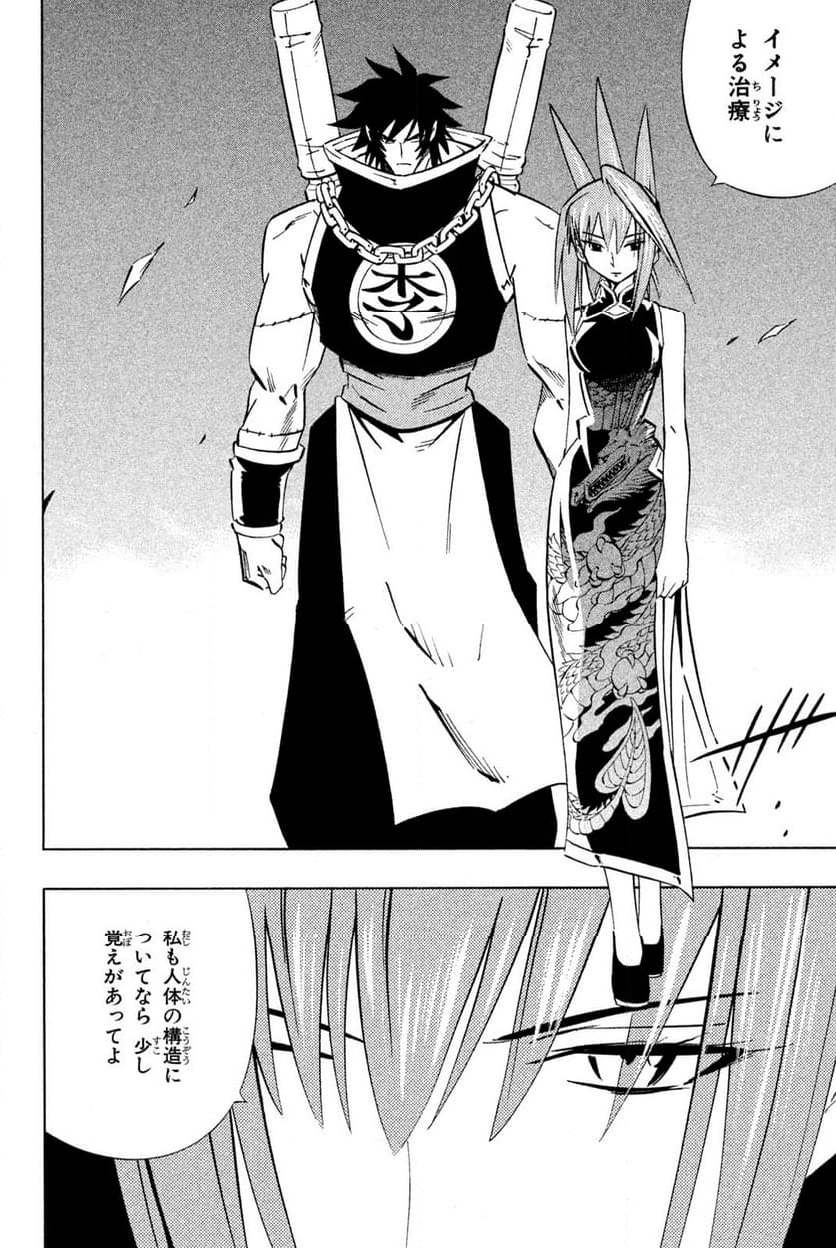 SHAMAN KING ～シャーマンキング～ KC完結版 第247話 - Trang 10