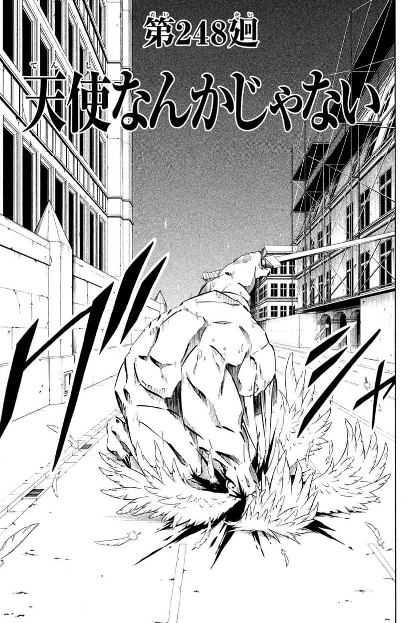 SHAMAN KING ～シャーマンキング～ KC完結版 第248話 - Trang 3