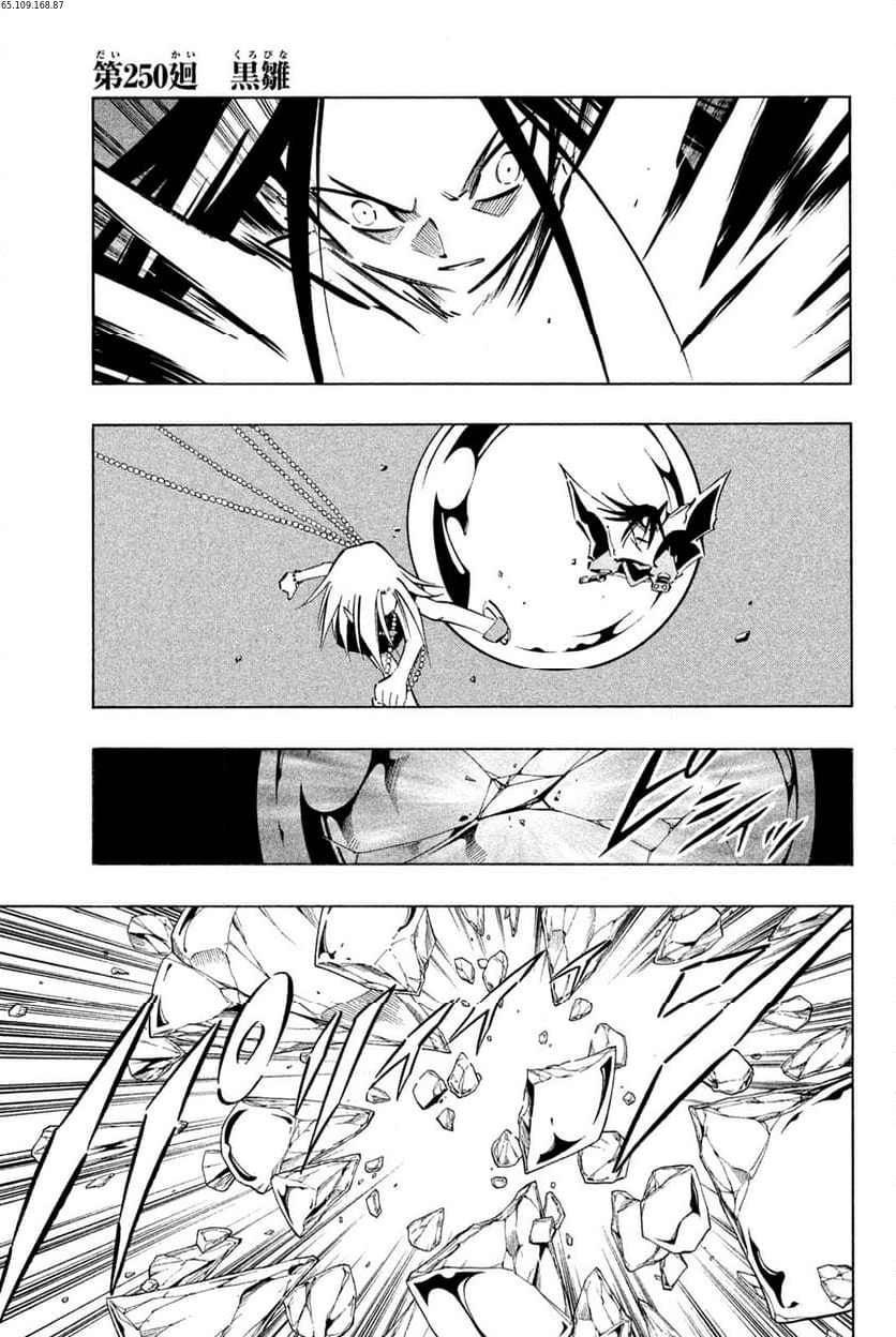 SHAMAN KING ～シャーマンキング～ KC完結版 第250話 - Trang 1