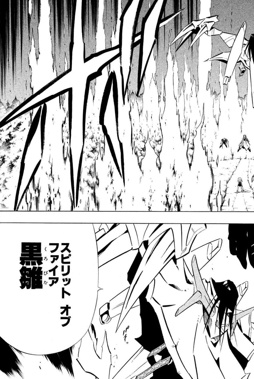 SHAMAN KING ～シャーマンキング～ KC完結版 第250話 - Trang 13