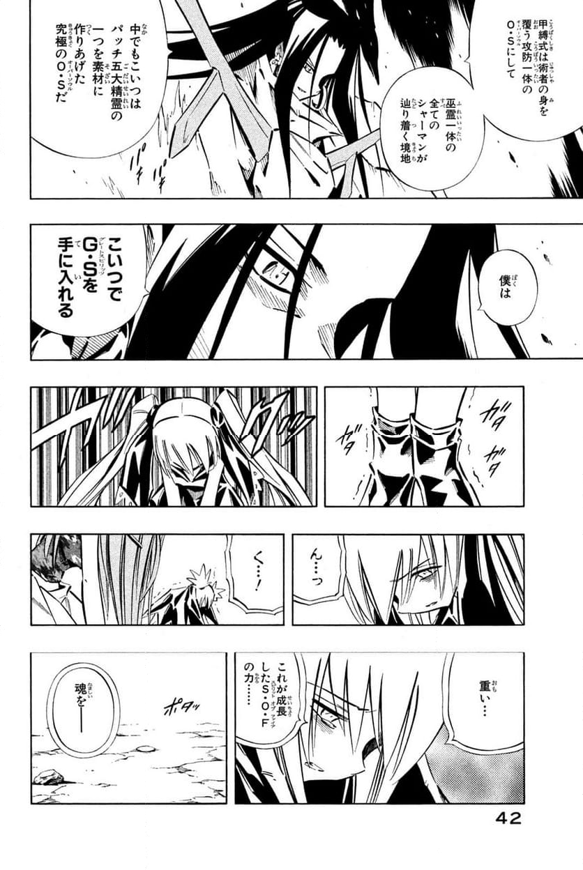 SHAMAN KING ～シャーマンキング～ KC完結版 第250話 - Trang 14